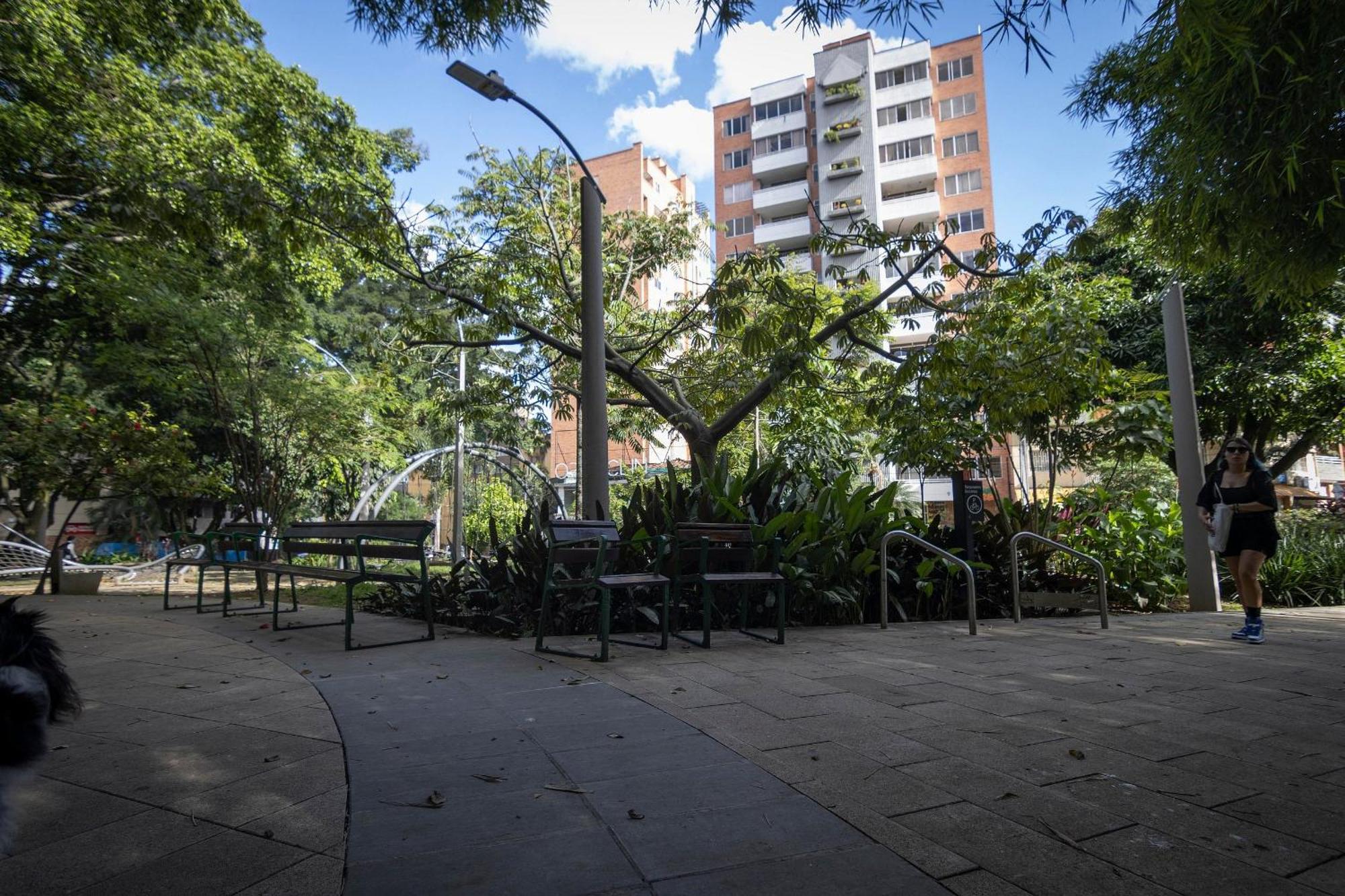 Ed Santo Tomas Laureles Medellin * Medellin